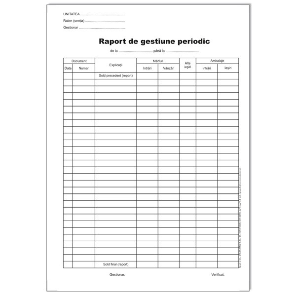 RAPORT GESTIUNE PERIODIC